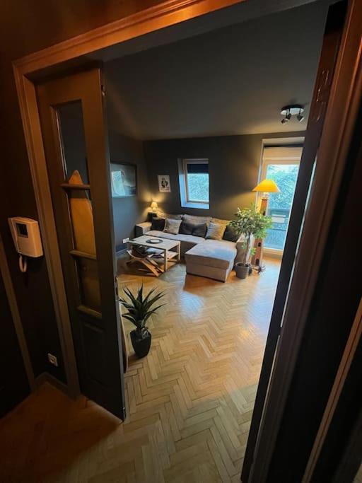Appartement Cosy Le Chesnay Le Chesnay  Εξωτερικό φωτογραφία